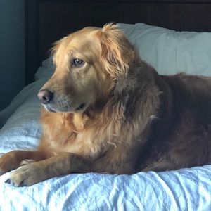 Meet your Posher, Pam